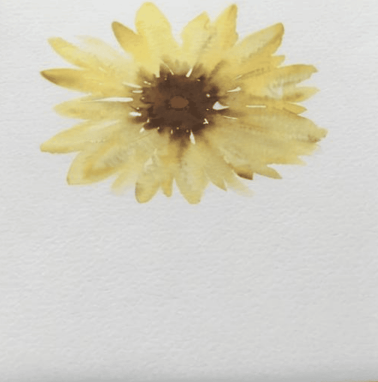 Sonnenblume Aquarell